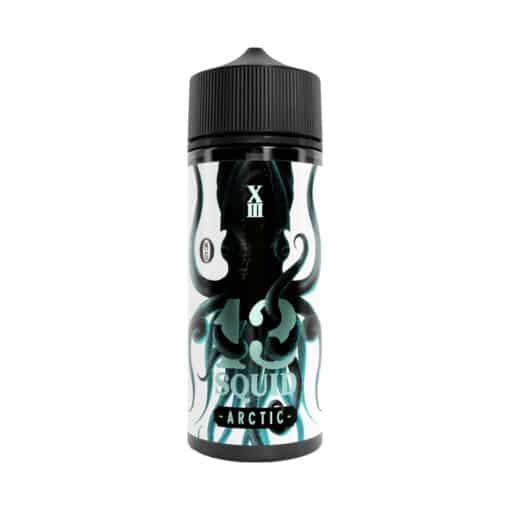 13 Squid Arctic 100Ml Short Fill Eliquid