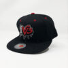 IVG Cap Red