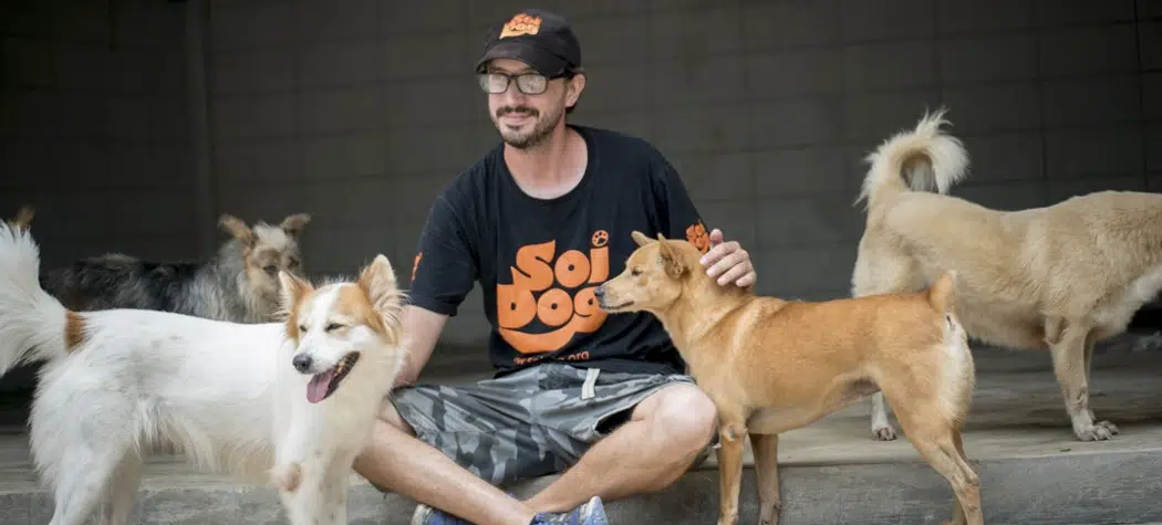 Help Us Raise Money For Soi Dog Foundation In Thailand