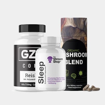 Nootropics & Supplements