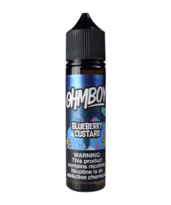 Ohmboy OC Blueberry Custard 100ml E-Liquid