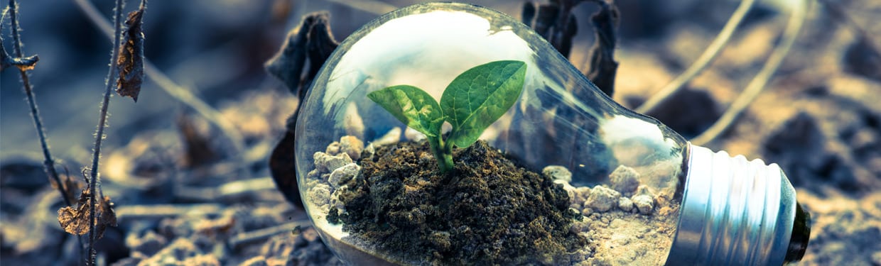 Our Environmental Promise 1 E-Liquids Uk - Our Environmental Promise