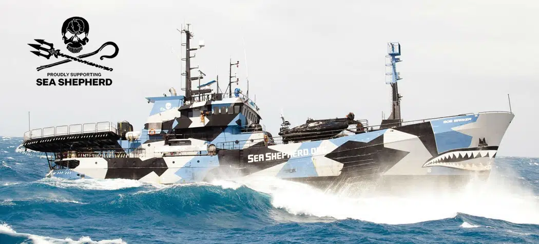 We Are Fundraising For Sea Shepherd Uk