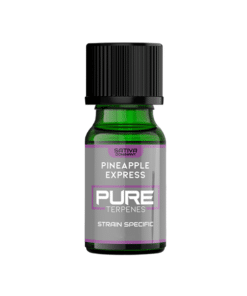 UK FLAVOUR Pineapple Express Sativa Pure Terpines