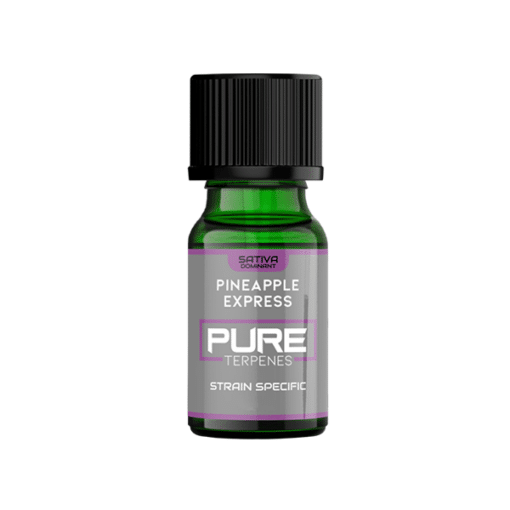 Uk Flavour Pineapple Express Sativa Pure Terpines